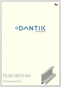 DANTIK rám na obraz 70x100 | ALU Dýha barevná šedá (Plexi Čiré)