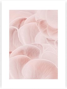 Plagát Pastel Pink I