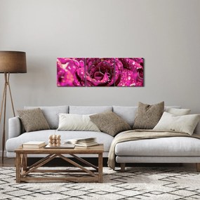 Obraz ružového kvetu ruže (s hodinami) (90x30 cm)