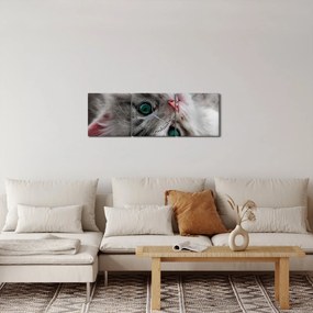 Obraz - Mačka so zelenými očami (s hodinami) (90x30 cm)