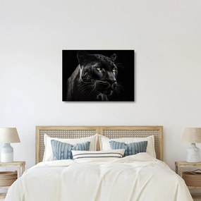Sklenený obraz - Čierny panter (70x50 cm)