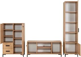 Obývacia stena REVO, dub artisan