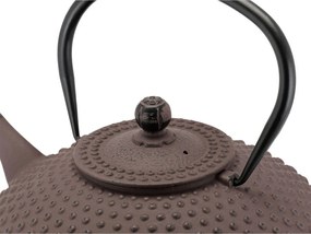 Vínovová kanvica na čaj z liatiny 1,25 l Xilin – Bredemeijer