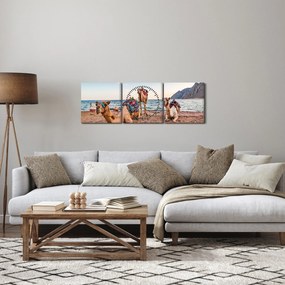 Obraz tiav (s hodinami) (90x30 cm)