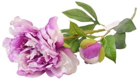 Paeonia 59cm ľaliová A2010572