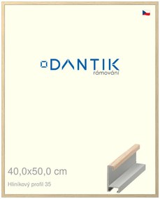 DANTIK rám na obraz 40x50 | ALU Dýha dub raw (Sklo Čiré)
