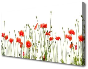 Obraz Canvas Maky rastlina príroda 120x60 cm