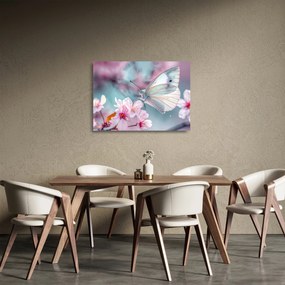Sklenený obraz - Motýľ na čerešni (70x50 cm)