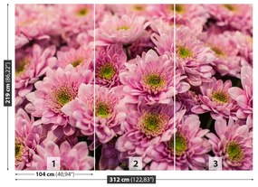 Fototapeta Vliesová Ružové chryzantémy 250x104 cm