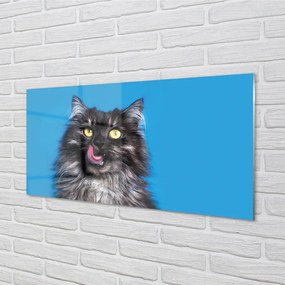 Obraz na akrylátovom skle Oblizujący mačka 140x70 cm