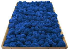 Stabilizovaný fínsky (sobí) mach 250g- modrý