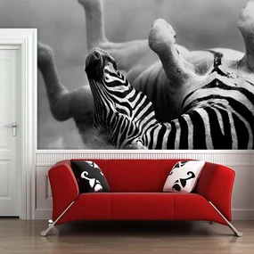Sablio Tapeta Válajúca sa zebra - 125x75 cm