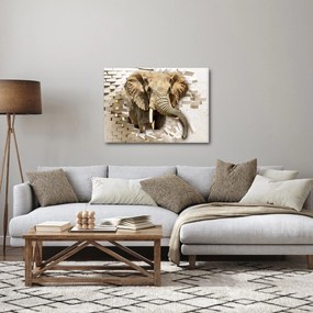 Obraz - Slon prerážajúci múr (70x50 cm)