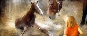 Obraz - Vitaj na svete, žriebätko (120x50 cm)