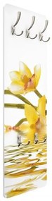 Vešiak na stenu Vodná orchidea