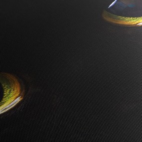 Obraz - Mačacie oči (120x50 cm)