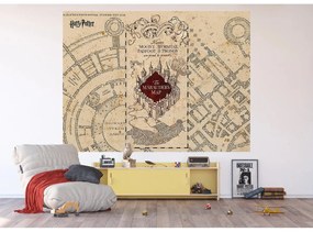 Detská fototapeta Harry Potter Marauders Map 252 x 182 cm, 4 diely