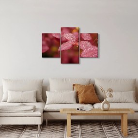 Obraz - Makro snímka lístka (90x60 cm)
