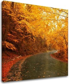 Obraz na stenu STROMY ST002E12