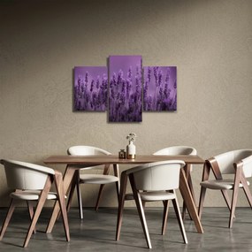 Obraz - Levanduľa (90x60 cm)