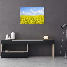 Sklenený obraz žltého poľa (70x50 cm)