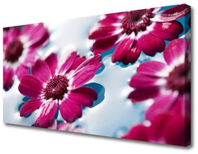 Obraz Canvas Kvety na vode príroda 120x60 cm