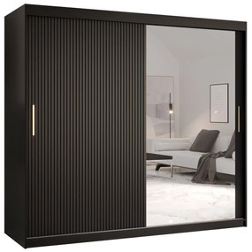 Šatníková skriňa so zrkadlom Towiro Slim 2 200, Farby: Biela