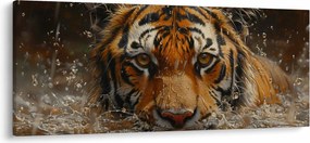 Obraz - Portrét tigra vo vode (120x50 cm)