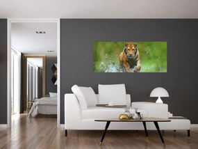 Obraz - Bežiaci tiger (120x50 cm)