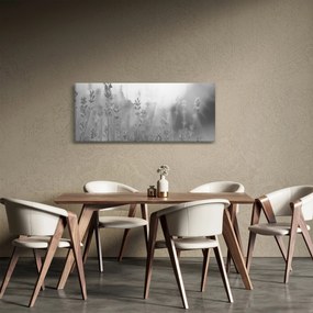 Obraz - Levanduľa (120x50 cm)