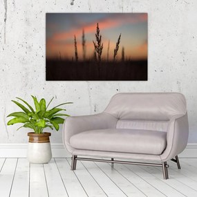 Obraz - Silueta rastliny (90x60 cm)