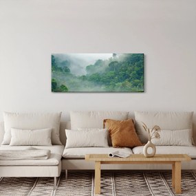 Obraz - Ranná hmla (120x50 cm)