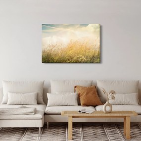 Obraz - Pole na jeseň (90x60 cm)