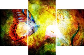 Obraz - Kozmický motýľ (90x60 cm)