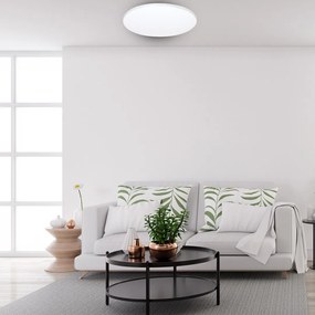 Stropné LED svietidlo Siena, 1x LED 80w, 3000-6000k, w