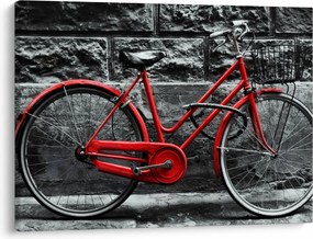 Obraz - Historický bicykel (70x50 cm)