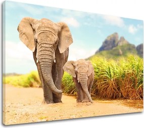 Obraz na stenu ZVIERATÁ_049-11