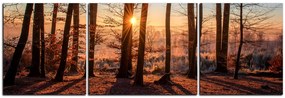 Obraz na plátne - Jesenné ráno v lese - panoráma 5251C (120x40 cm)