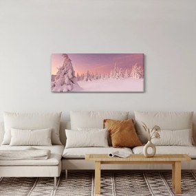 Obraz - Stromy pod snehovou prikrývkou (120x50 cm)