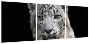 Obraz - Leopard snežný (s hodinami) (90x30 cm)