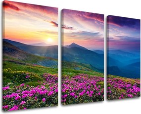 Obraz na stenu SLOVENSKO