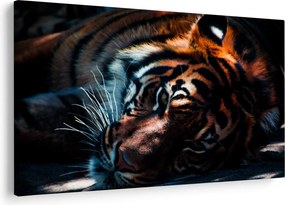 Obraz ležiaceho tigra (90x60 cm)