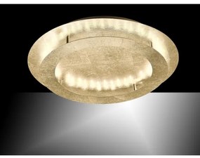 Paul Neuhaus 9621-12 - LED Stropné svietidlo NEVIS LED/24W/230V