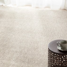 Koberec Zendra taupe 200x290 cm