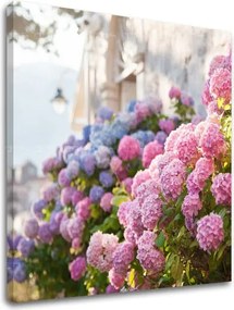 Obraz na stenu RUŽOVÉ KVETY_157-12