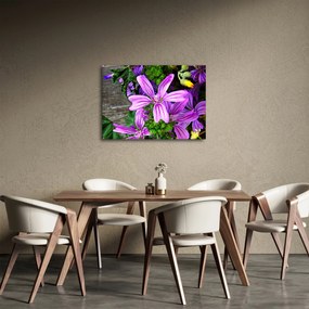 Obraz - lúčne kvety (70x50 cm)