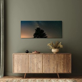 Obraz nočnej oblohy so stromami (120x50 cm)