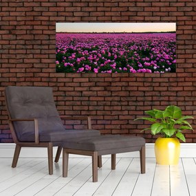 Obraz - Lúka fialových tulipánov (120x50 cm)