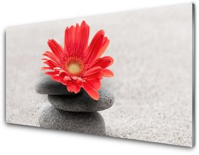Skleneny obraz Kvet kamene umenie 120x60 cm