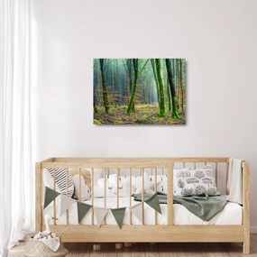 Sklenený obraz lesa (70x50 cm)